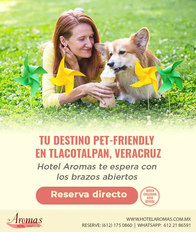 hotel aromas pet friendly